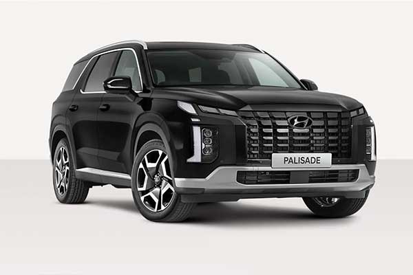 20260710-3hyundai-tarik-1083-unit-palisade.jpg